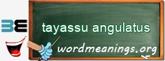 WordMeaning blackboard for tayassu angulatus